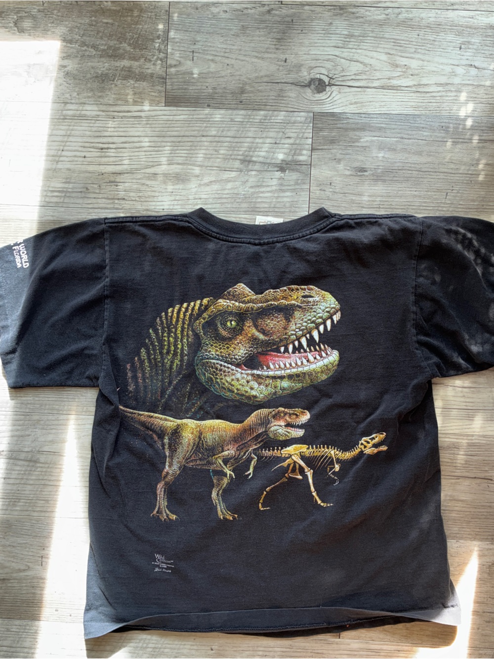 Vintage single stitch dinosaur world T-shirt